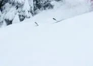 Freeride Kitzbüheler Alpen für Beginner/Pro